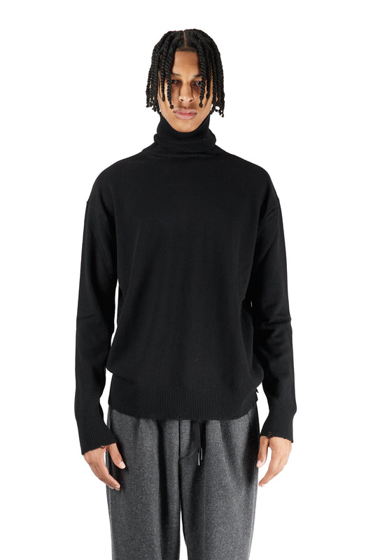 Regular Fit Turtleneck